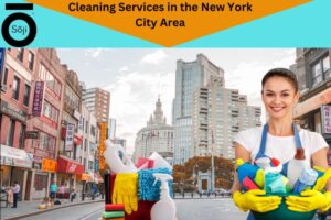 Cleaning Services in the New York City Area (5)