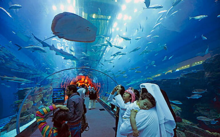 Explore the Dubai Mall and its Incredible Aquarium1 (1)