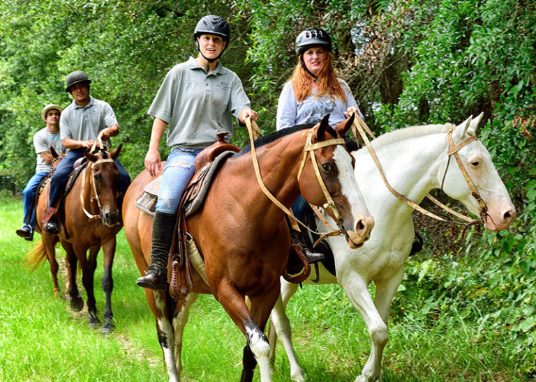 Trail Ride in Kentucky