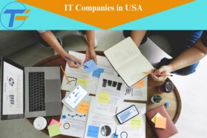 IT companies in usa (30)