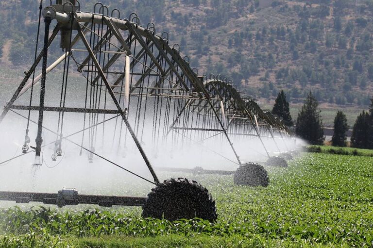 Drip Irrigation: A Complete Guide to Efficient Water Management