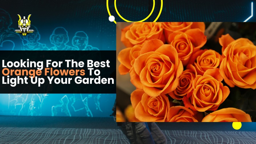 Looking For The Best Orange Flowers To Light Up Your Garden