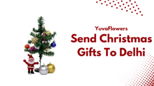 Send Christmas Gifts To Delhi (2)