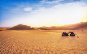 Top Tips for an Unforgettable Evening Desert Safari1 (2)